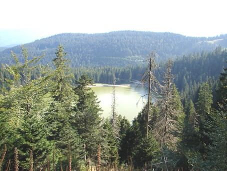 Route des cretes: lac vert